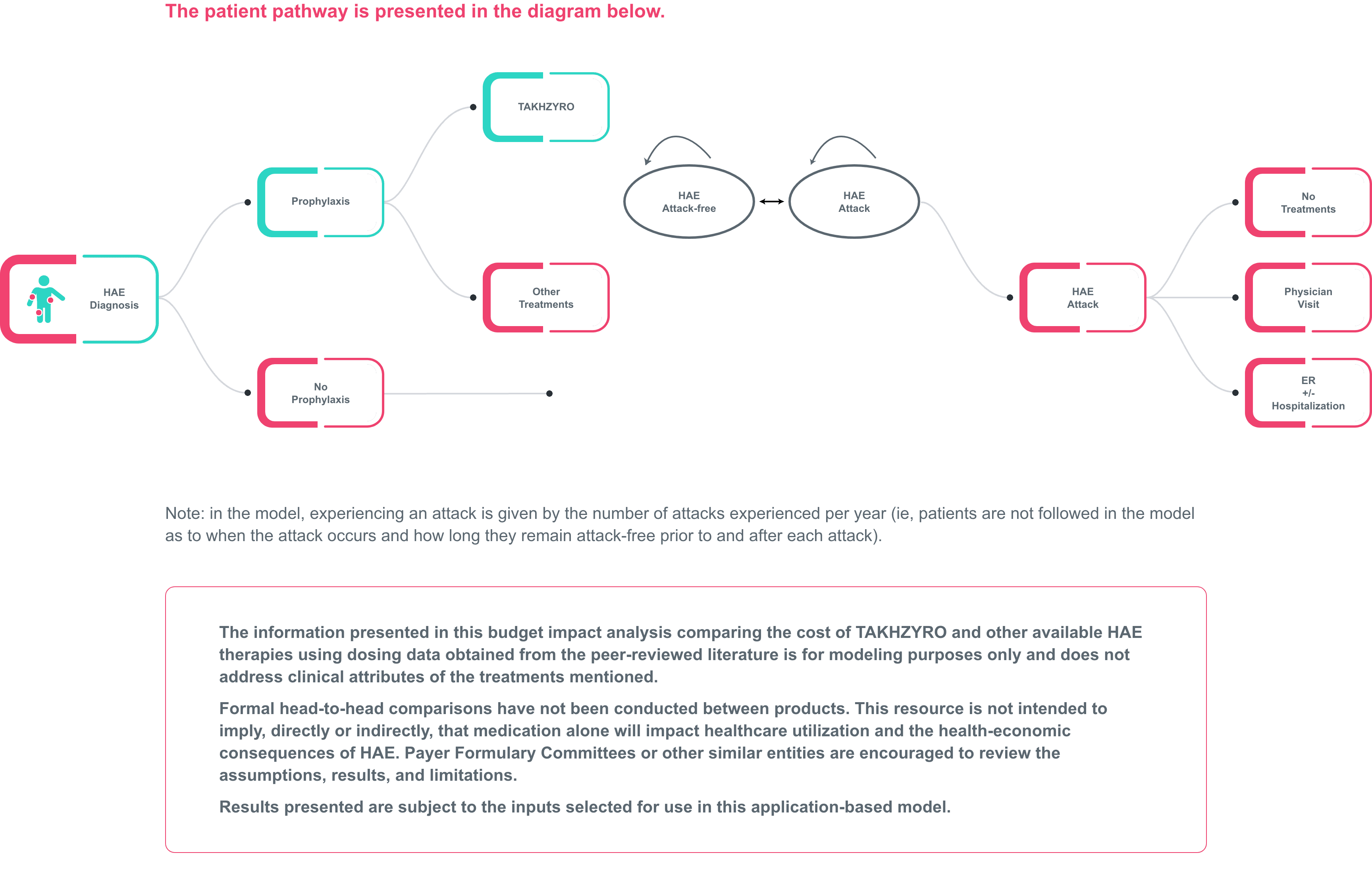 Model & patient pathway introduction